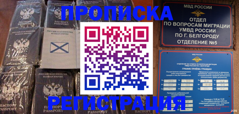 прописка гарантия в Новоузенске